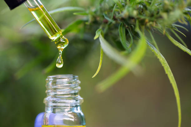 How to Maximize the Benefits of the CBD Tincture